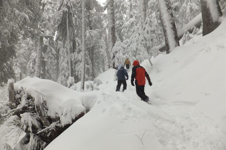 Outdoor Activities 15 of 30