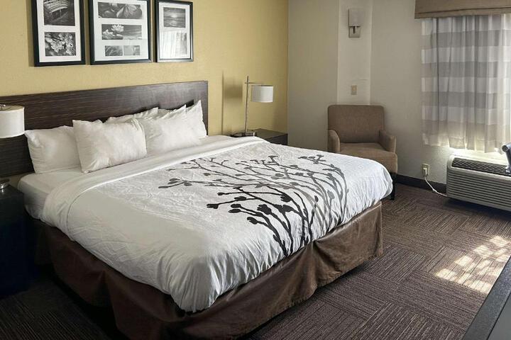 1 King Bed (5 of 21)