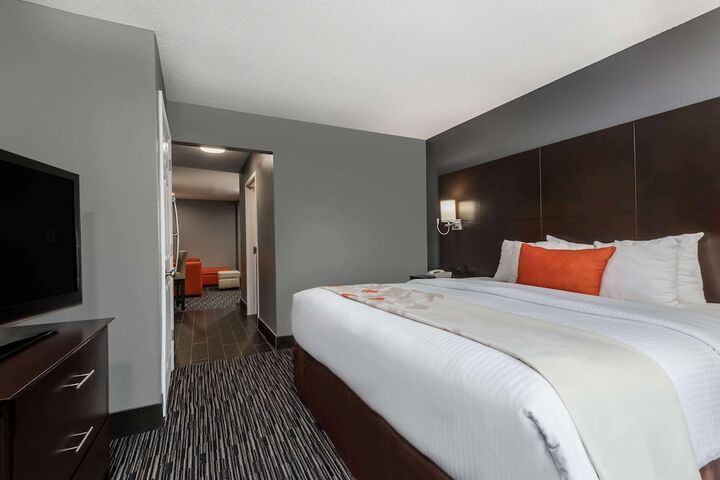 1 King Bed 1 Bedroom Accessible Studio Suite with Roll in Shower (8 of 8)