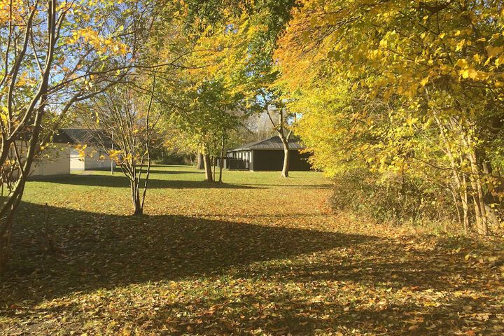 Property Grounds 51 of 57