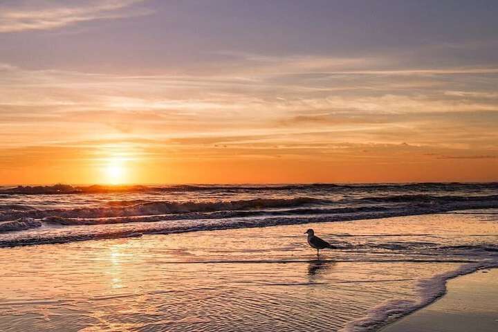 Beach 119 of 148