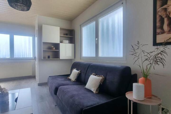 MAISON COSY 7 minutes des frontières