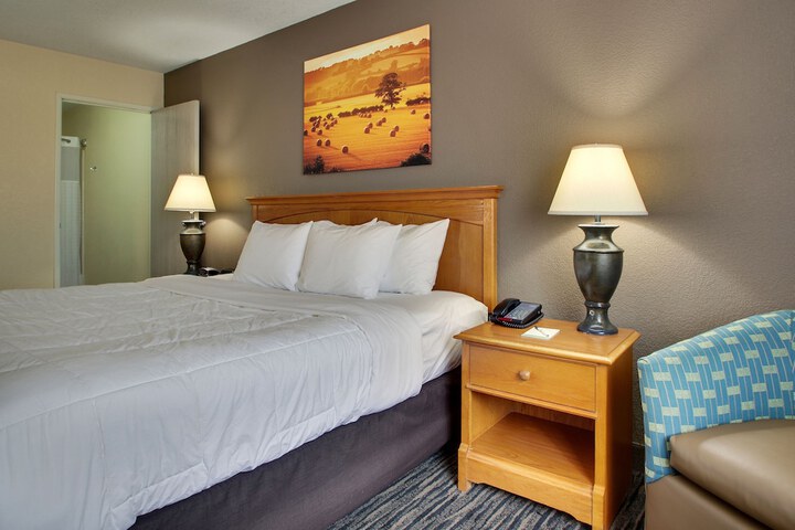 1 King Bed Accessible (6 of 13)