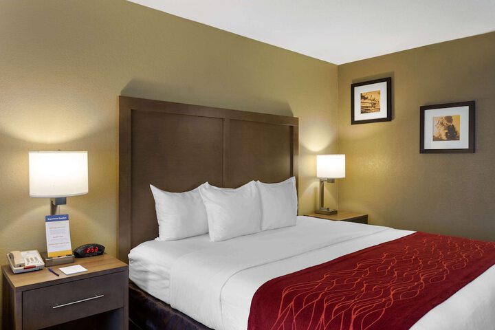 1 King Bed (15 of 16)