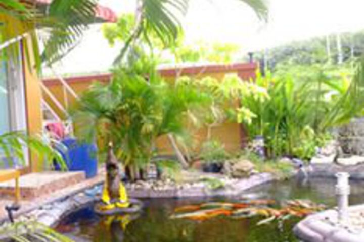 Property Grounds 12 of 15