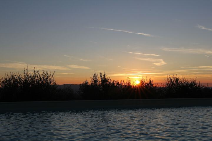 Pool 23 of 36