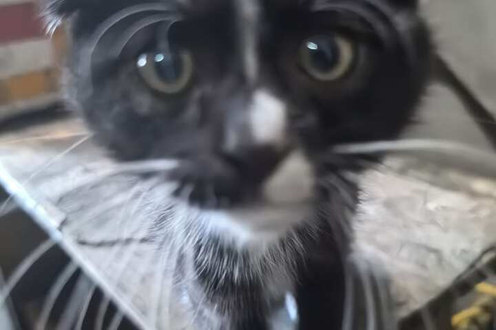 Pet Friendly 30 of 54