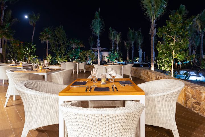 Dining 78 of 101