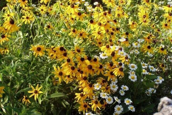 Hotel Exterior 52 of 84