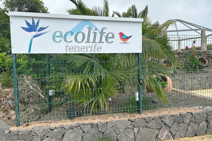 ECOLIFE TENERIFE HOUSES