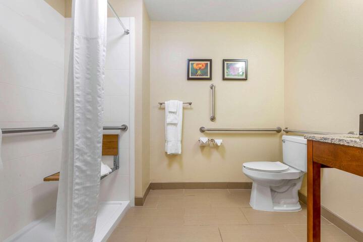 1 King Bed Accessible (4 of 15)