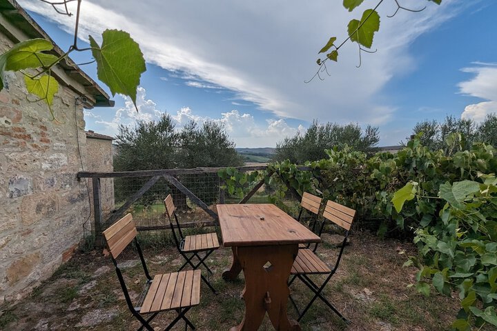 Terrace/Patio 70 of 282