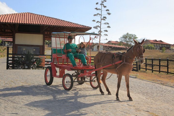 Children's activities
