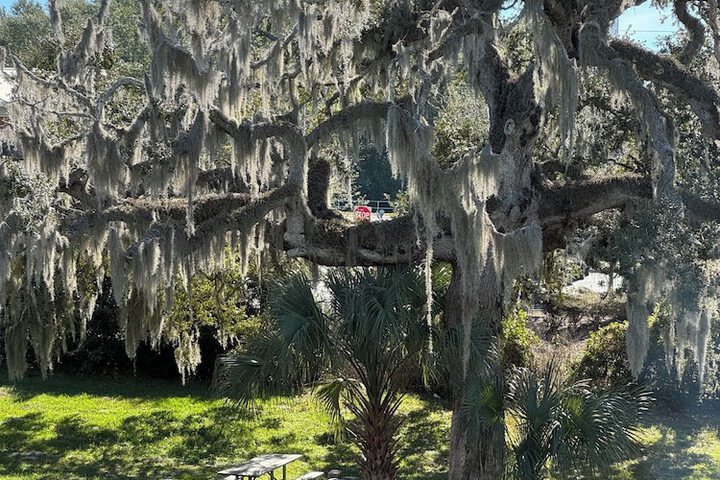 Property Grounds 39 of 41