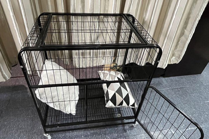 Pet Friendly 29 of 50