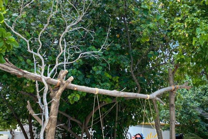 General 48 of 50