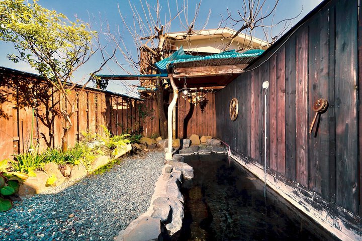 Wellness Treatments