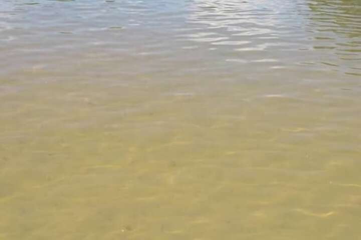 Property Grounds 51 of 60