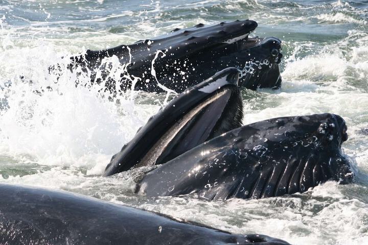 Outdoor Activities 23 of 55