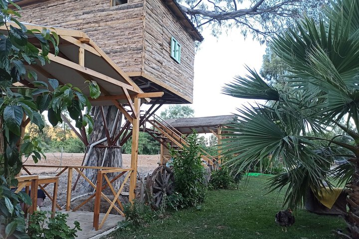 Hotel Exterior 87 of 95