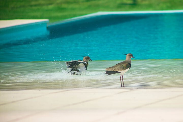 Hotel Pool