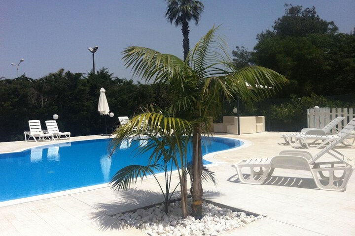 Hotel with Pool