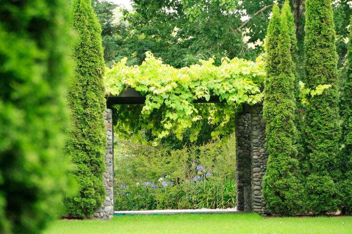 Spa and Wellness Pictures