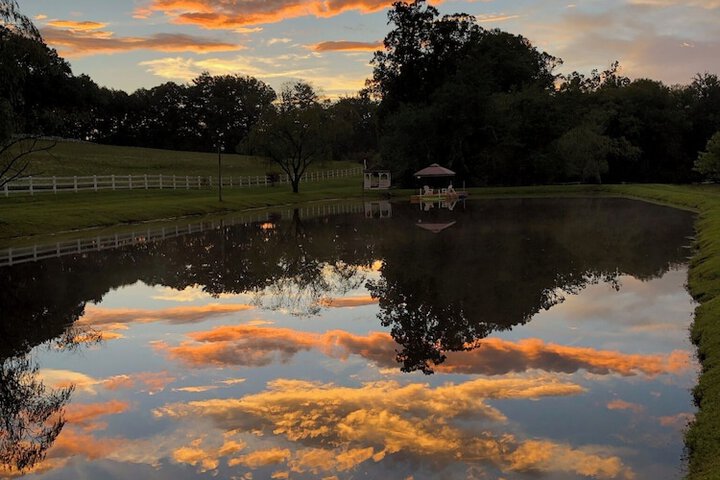 Property Grounds 56 of 65