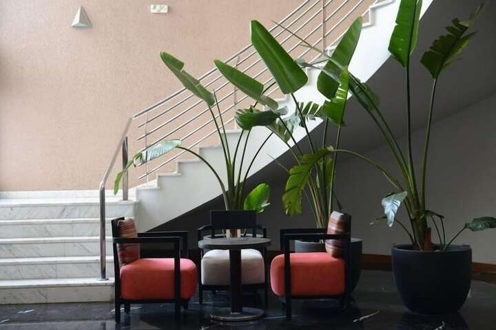 Guest Lobby
