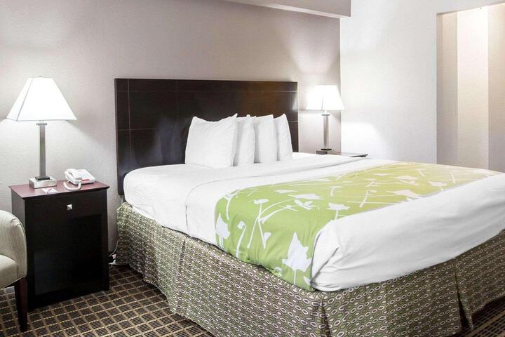 1 King Bed (5 of 8)