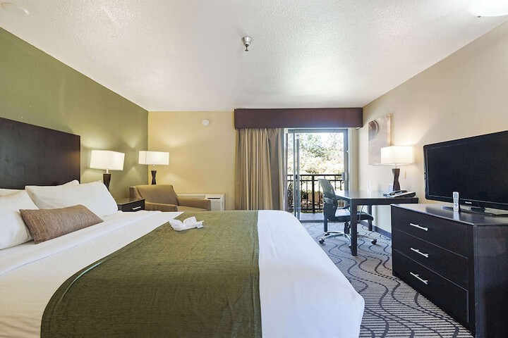 1 King Bed Deluxe Furnishings Sitting Area High Speed Internet Accessible Microwave (14 of 14)