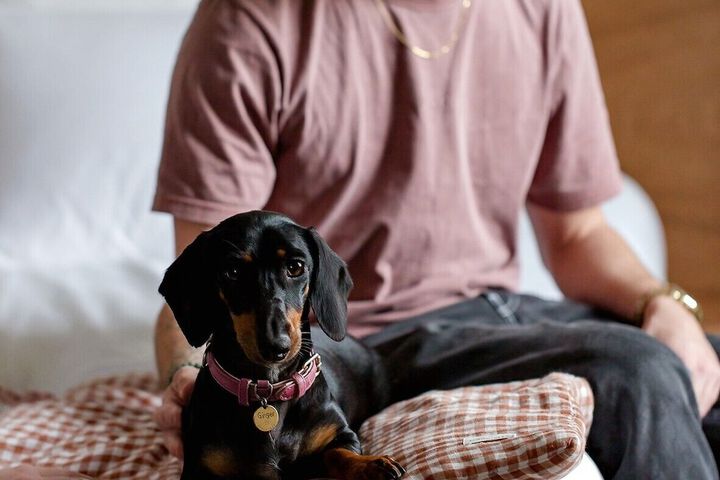 Pet Friendly 35 of 42