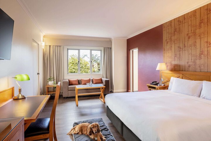 Room 95 of 210
