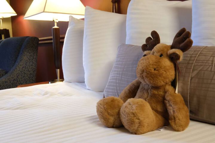 1 King Bed (8 of 10)