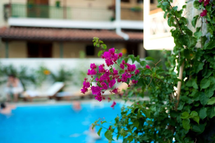 Hotel with Pool