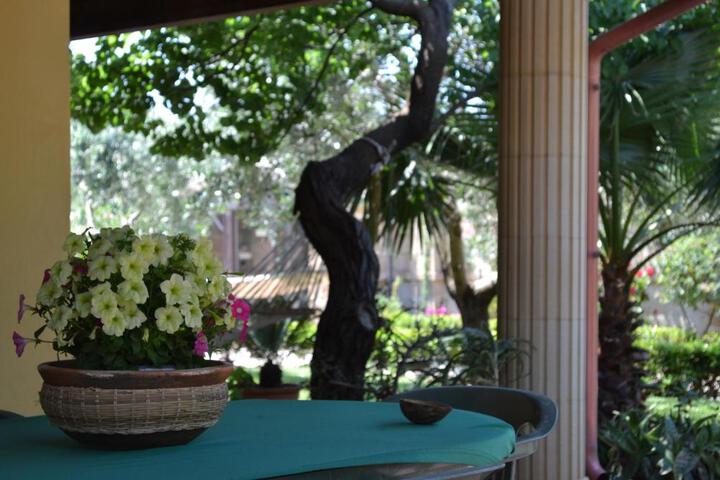 Photo 17