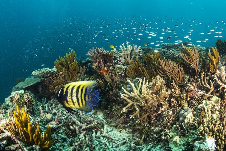 Property Grounds 79 of 96