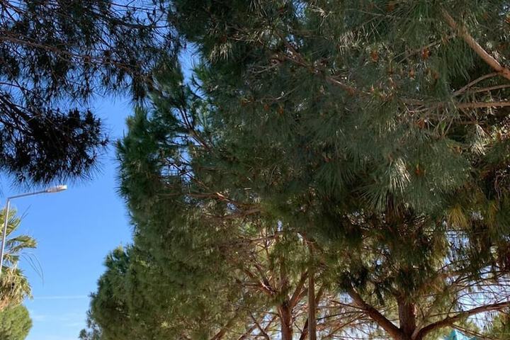 Outdoor Activities 21 of 28