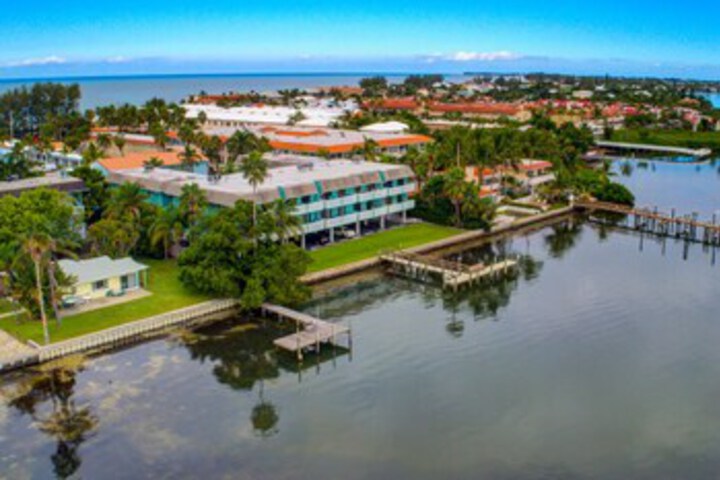 Photo of Beach Palms 2a