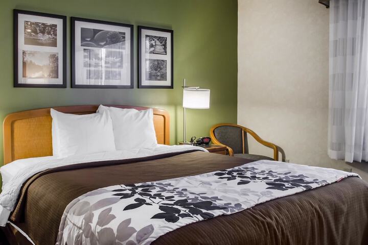 1 King Bed (7 of 13)