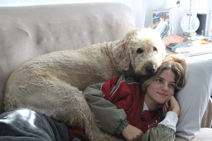 Pet Friendly 34 of 80