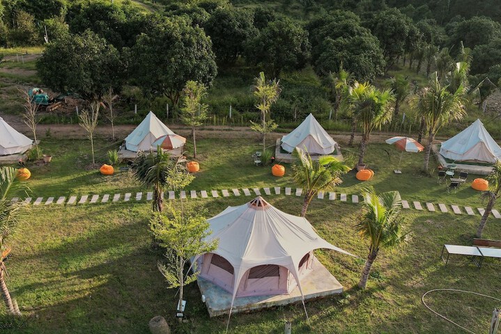 FUN FARM