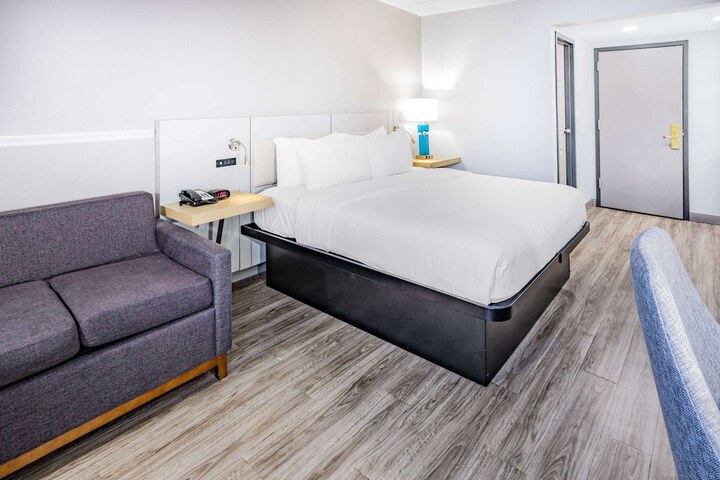 1 King Bed (1 of 19)