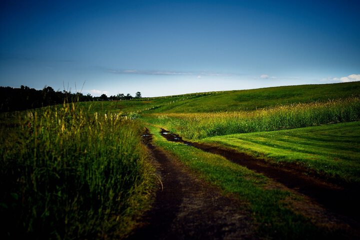 Property Grounds 23 of 41