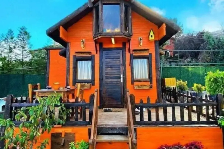 General 15 of 29
