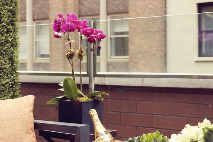 Room amenity