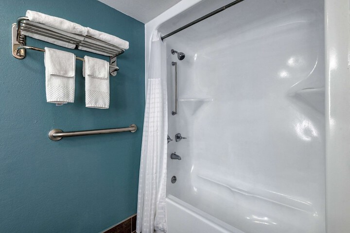 1 King Bed Accessible (8 of 8)