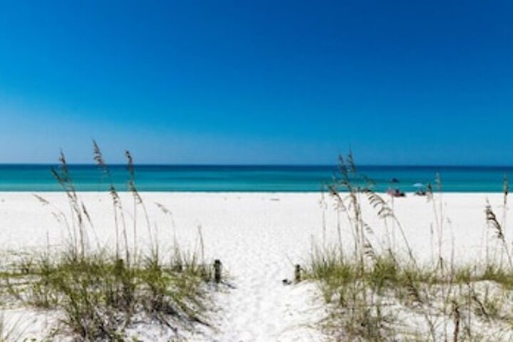 Beach 403 of 444