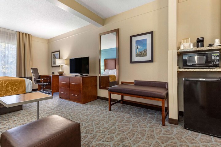 1 King Bed Suite (12 of 29)
