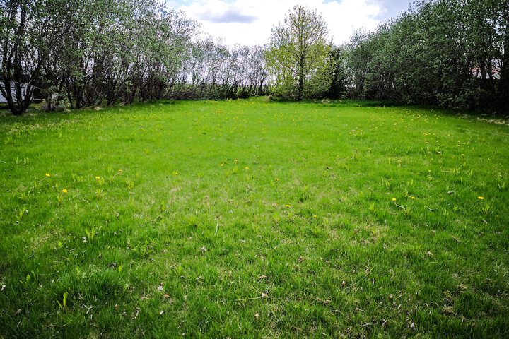 Property Grounds 2 of 5